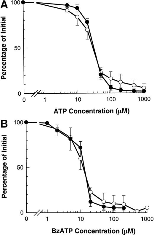 Fig. 3. Dose response of ATP- and BzATP-induced shedding of CD23 and L-selectin. B-CLL lymphocytes were incubated with the indicated concentration of ATP (A) or BzATP (B) for 7 minutes before labeling with anti-CD23 (○) or for 1.5 minutes before labeling with anti–L-selectin (•). Results are expressed as mean percentage of initial expression ±SEM (n = 3).