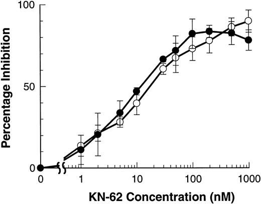 Fig. 4. KN-62 inhibits ATP-induced shedding of CD23 and L-selectin. B-CLL lymphocytes were treated with the indicated concentrations of KN-62 before exposure to 500 μmol/L ATP (7 minutes for CD23 and 1.5 minutes for L-selectin measurements). Cells were then labeled with anti-CD23 (○) or anti–L-selectin (•) and the results expressed as the mean percentage of inhibition of shedding (difference of means not significant, n = 3).