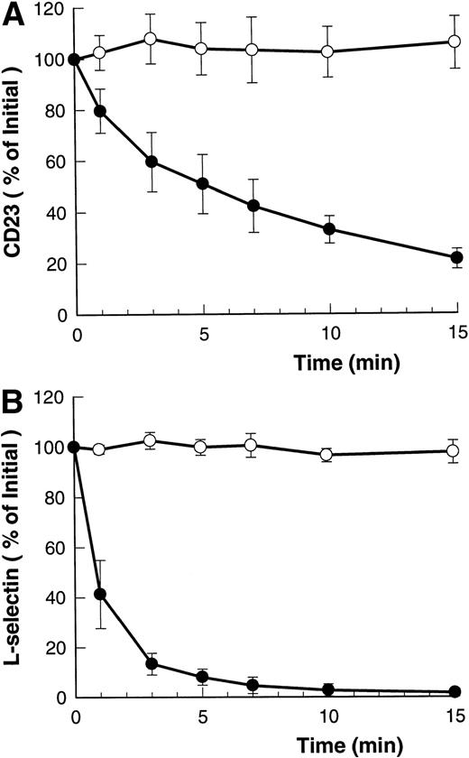 Fig. 5. Inhibition of CD23 and L-selectin shedding by OxATP. B-CLL lymphocytes were treated with (○) or without (•) 300 μmol/L OxATP before exposure to 100 μmol/L BzATP. Expression of CD23 (A) and L-selectin (B) was measured and results expressed as the mean percentage of initial expression ±SEM (n = 3).