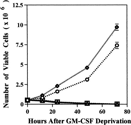 Fig. 6. Effect of GM-CSF deprivation on proliferation and apoptosis of TF-1 cells, GM-CSF–independent TF-1 cells, as well as TF-1 cells transfected with either control vector or MDM2 gene. Parent TF-1 cells (▵) and the GM-CSF–independent TF-1 subclone (◊) were cultured in media with GM-CSF (1 ng/mL) for 2 days, washed three times with PBS, and resuspended in fresh medium without GM-CSF. TF-1 control vector transfectants (□) and TF-1 MDM2 transfectants (○) were cultured in media with G418 (400 μg/mL) and GM-CSF (1 ng/mL) for 2 days, washed three times with PBS, and resuspended in fresh media with G418 (400 μg/mL) without GM-CSF. (A) Proliferation of cells cultured in the absence of GM-CSF were determined by counting number of viable cells with trypan blue. Mean standard deviation was determined for three independent experiments. (B) Apoptosis was evaluated with acridine orange/ethidium bromide staining, and the percentage of apoptotic cells was calculated: apoptotic cells / (apoptotic cells + viable cells). Mean standard deviation was determined for three independent experiments. (C) TF-1 control vector transfectants, GM-CSF–independent TF-1 cells, and TF-1 MDM2 transfectants were cultured for 2 days in the presence of GM-CSF (1 ng/mL), washed three times with PBS, and resuspended in fresh media with varying concentrations of GM-CSF (0.0, 0.1, 0.2, and 1 ng/mL). Cells were harvested at 16 hours and apoptosis was evalutated by DNA fragmentation assay. A