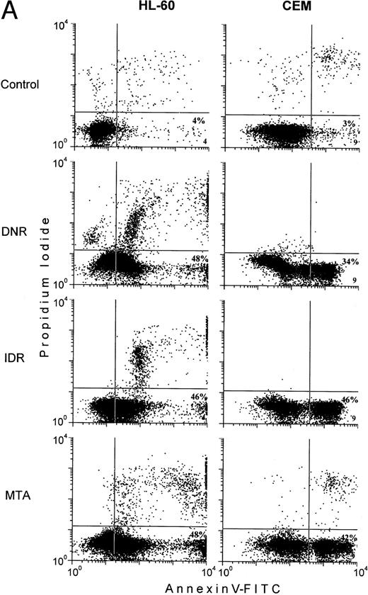 Fig. 5. Effects of DNR, IDR, and MTA on HL-60 and CEM cells as measured with the Annexin V binding assay, the 3H-TdR incorporation assay, and the MiCK assay of apoptosis. HL-60 cells were exposed to 0.1 mm DNR for 36 hours and to 0.5 μmol/L IDR or 2.5 μmol/L MTA for 6 hours. CEM cells were exposed to 2.5 μmol/L DNR for 16 hours and to 5 μmol/L IDR or 5 μmol/L MTA for 7 hours. (A) Flow cytometry analyses of Annexin V-FITC/PI stained cells; 5,000 cells were analyzed in each condition. Quadrants were set using negative controls. The lower left quadrants of the cytograms show viable, An−PI−, cells. Numbers in the lower right quadrants refer to the percentage of apoptotic cells with preserved plasma membrane integrity (An+PI−, early apoptotic cells). Upper right quadrants show cells that have lost their plasma membrane integrity and became An+P+. The results of one of three independent experiments are shown. (B) Percentages of drug-induced inhibition of 3H-thymidine incorporation in HL-60 and CEM cells. Mean (±SD) of three independent experiments, each performed in three replicates. (C) Extent of apoptosis in drug-treated cells as determined with the MiCK assay of apoptosis. Results of the MiCK assay in KU were converted into percentages of apoptotic cells. Mean (±SD) of three independent experiments.