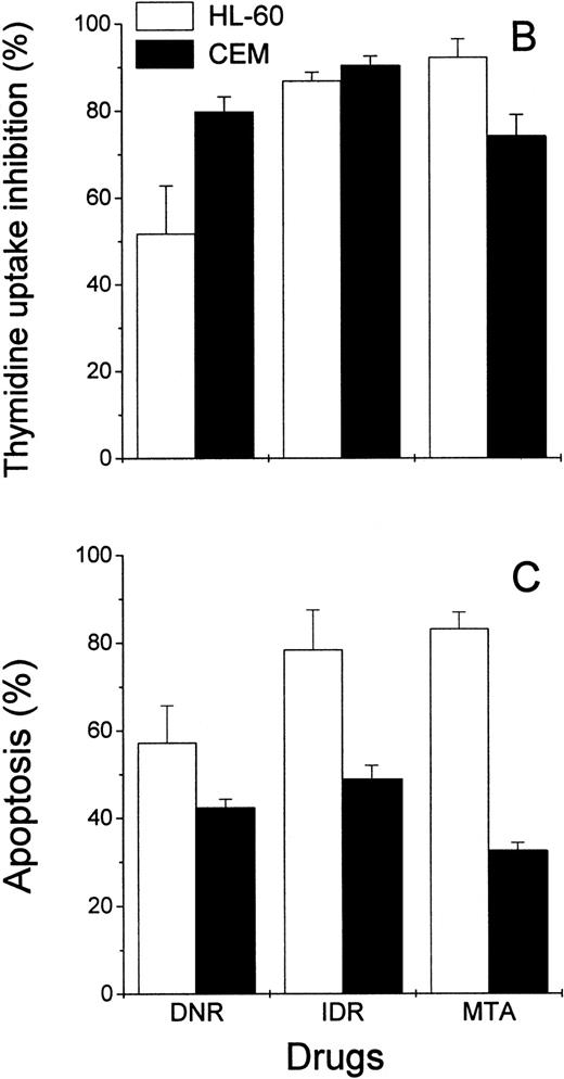 Fig. 5. Effects of DNR, IDR, and MTA on HL-60 and CEM cells as measured with the Annexin V binding assay, the 3H-TdR incorporation assay, and the MiCK assay of apoptosis. HL-60 cells were exposed to 0.1 mm DNR for 36 hours and to 0.5 μmol/L IDR or 2.5 μmol/L MTA for 6 hours. CEM cells were exposed to 2.5 μmol/L DNR for 16 hours and to 5 μmol/L IDR or 5 μmol/L MTA for 7 hours. (A) Flow cytometry analyses of Annexin V-FITC/PI stained cells; 5,000 cells were analyzed in each condition. Quadrants were set using negative controls. The lower left quadrants of the cytograms show viable, An−PI−, cells. Numbers in the lower right quadrants refer to the percentage of apoptotic cells with preserved plasma membrane integrity (An+PI−, early apoptotic cells). Upper right quadrants show cells that have lost their plasma membrane integrity and became An+P+. The results of one of three independent experiments are shown. (B) Percentages of drug-induced inhibition of 3H-thymidine incorporation in HL-60 and CEM cells. Mean (±SD) of three independent experiments, each performed in three replicates. (C) Extent of apoptosis in drug-treated cells as determined with the MiCK assay of apoptosis. Results of the MiCK assay in KU were converted into percentages of apoptotic cells. Mean (±SD) of three independent experiments.