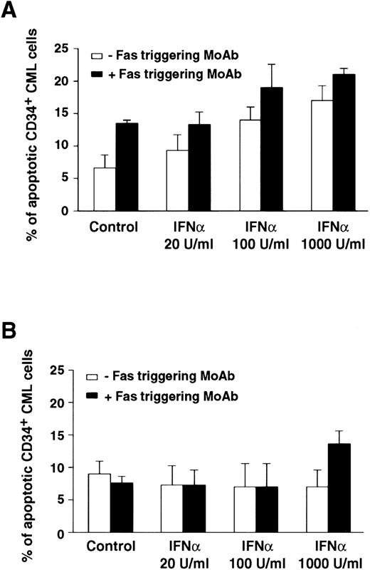 Fig. 3. Comparison of apoptotic effect of Fas triggering on CD34+ BM cells from representative CML patients in chronic phase who showed optimal (A) or poor (B) response to IFN-α treatment. Values (mean ± SEM of triplicate measurements) represent percentage of apoptotic CD34+ BM CML cells evaluated by the Tdt assay. CD34+ cells were purified from CML BM and cultured in the presence of IFN-α and MoAb CH11. MoAb CH11 was used at a concentration of 1 μg/mL. TdT assay was performed as described in Materials and Methods. Each experiment was performed in triplicate. Statistical analysis (paired t-test) showed P < .05 only in the responder group, for control versus IFN-α 100 and 1,000 U/mL; control versus Fas triggering; any IFN-α concentration versus IFN-α + Fas triggering.