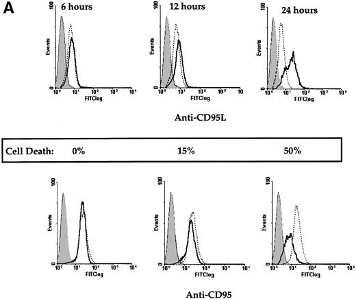 Fig. 4. CD95 and CD95L expression following resveratrol treatment of HL60 cells. (A) HL60 cells were treated with 32 μmol/L resveratrol, and surface expression of CD95 and CD95L was analyzed by flow cytometry at 6 hours, 12 hours, and 24 hours as described in Materials and Methods. The shaded histograms are for mouse IgG1κ used as an isotype control, the dotted lines represent nontreated HL60 cells, and the solid lines indicate resveratrol-treated HL60 cells. At least 10,000 events were counted, and data shown are representative of at least three separate experiments. (B) RT-PCR amplification of CD95L and β-actin mRNA following treatment of HL60 cells with 32 μmol/L resveratrol for 0, 4, 8, and 20 hours.