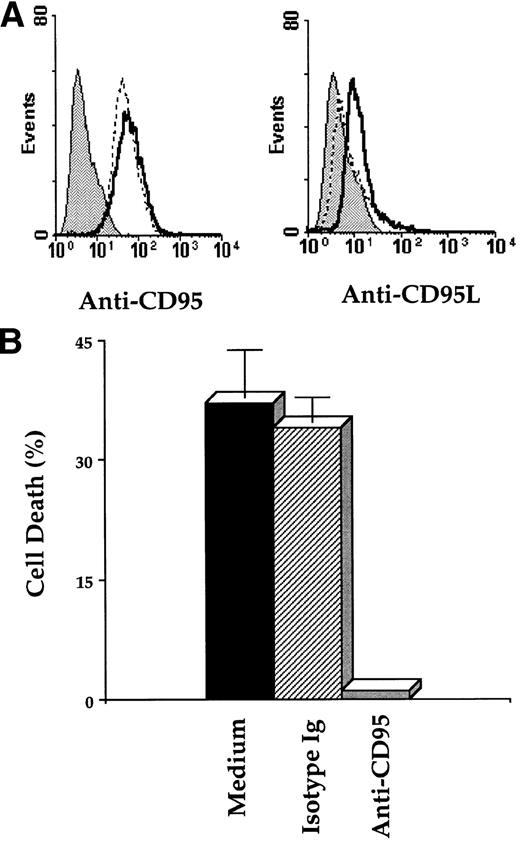 Fig. 6. Resveratrol enhances CD95L expression and induces CD95 signaling–dependent cell death in T47D cells. (A) T47D cells were treated with 32 μmol/L resveratrol for 18 hours, and surface expression of CD95 and CD95L was analyzed by flow cytometry as described in Materials and Methods. The shaded histograms are for mouse IgG1κ used as an isotype control, the dotted lines represent nontreated T47D cells, and the solid lines indicate resveratrol-treated T47D cells. At least 10,000 events were counted, and data shown are representative of at least three separate experiments. (B) T47D cells were treated for 24 hours with 32 μmol/L resveratrol alone (medium) or in the presence of 1 μg/mL of anti-CD95 (anti-CD95) or IgG1κ (isotype Ig) antibody. Cell viability was determined by the crystal violet assay, and data shown are mean ±SD of three independent experiments.