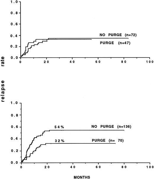 Fig. 2. Relapse rates of patients autografted in first remission, after TBI, with either purged or nonpurged bone marrow. (A) Patients autografted within 6 months of obtaining remission. (B) Patients autografted later than 6 months after remission. (A) P = .02. (B) P = not significant. (Reprinted with permission from Gorin et al.85)
