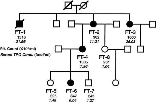 Fig. 1. A pedigree of the studied family, showing typical autosomal-dominant inheritance of disease penetration. Members of the family, designated as FT-1 through FT-8, were clinically examined to certify affected or not. Solid symbols indicate affected members. Circles denote female family members, squares male family members, and symbols with a slash deceased family members. Plain numerals indicate peripheral platelet count, and italic numerals indicate serum concentration of TPO.