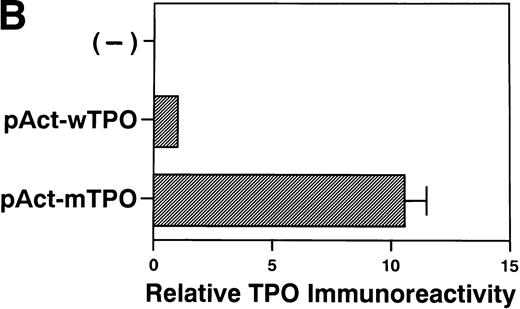 Fig. 3. (A) Mutant-type TPO manifested the same level ofTPO mRNA as wild-type. L929 cells were transfected with 10 μg of pActC, pAct-wTPO, or pAct-mTPO, respectively. By Northern blot analysis, TPO mRNA level in the transfected cells showed no definite difference between pAct-wTPO and pAct-mTPO. (B) TPO production definitely differed between pAct-wTPO and pAct-mTPO. TPO concentration in the conditioned media was analyzed by ELISA. TPO released by pAct-wTPO transfected L929 cells was arbitrarily assigned to a value of 1.0, and the results are shown as the mean ± SD. The analysis was performed in duplicate assays and the results were reproducible.