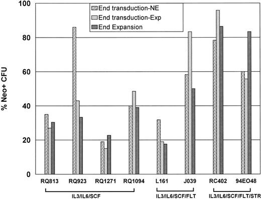 Fig. 4. Marking efficieny of CFU in nonexpanded and expanded fractions. In vitro transduction efficiency of CFU was assessed at the end of transduction for both fractions and the end of expansion for the expanded fraction. The efficiency was calculated by from the percentage of individual plucked CFU positive for neo sequences by PCR. For each animal, the percentage of CFU positive for the neogene is shown at the end of transduction for the nonexpanded fraction (End Transduction-NE), at the end of transduction for the fraction subsequently expanded (End Transduction-Exp), as well as colonies plated at the end of the expansion period for the expanded fraction (End Expansion).