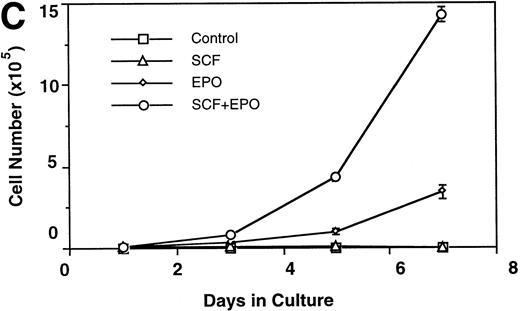 Fig. 1. SCF causes tyrosine phosphorylation of EPO-R, but cannot replace EPO to support human erythropoiesis in vitro. Phosphorylation of c-Kit (A) and EPO-R (B) after stimulation of ECFC with EPO, SCF, or EPO + SCF. Replicate day-8 ECFC (∼5 × 106) were starved and then treated with SCF and EPO separately or in combination for 5 or 10 minutes as described in Materials and Methods. Cell extracts were subject to immunoprecipitation with anti–c-Kit and anti–EPO-R antibodies in the presence of protein A-Sepharose beads. Immunoprecipitates (corresponding to whole cell extracts containing 50 μg of total protein) were subjected to SDS-PAGE and Western blot analysis with antiphosphotyrosine antibody 4G-10. (C) To determine the requirement of SCF and EPO for growth of ECFC, day-6 ECFC (5 × 103) were incubated in 20% FBS, 1% BSA-containing medium supplemented with SCF, EPO, or SCF + EPO. Cell numbers were determined after 7 days in culture. Data represent the mean values from three independent experiments.