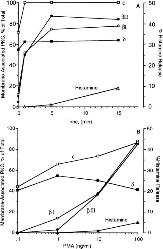 Fig. 3. Time course of PKC isozyme translocation after stimulation with PMA and the dose-response curve for PMA. In panel A, basophils were incubated with PMA (100 ng/mL) for the times indicated (n = 1) and in panel B cells were incubated with various concentrations of PMA for 15 minutes (n = 1). The membrane and cytosol fractions were prepared, analyzed by Western blotting, and the bands quantified by digital imaging. The data are expressed as the amount of membrane-associated PKC as a percentage of the summed band intensities for membrane + cytosol. PKC βI (○), βII (•), δ (▪), ε (□), and histamine (▵).