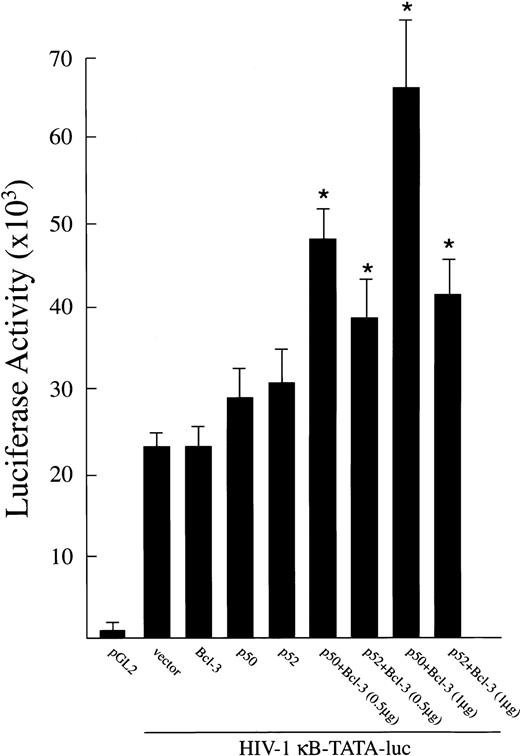 Fig. 7. Activation of an HIV-1 κB-TATA-luciferase reporter plasmid after overexpression of Bcl-3 in TF-1 cells. A total of 0.5 μg of plasmids expressing Bcl-3, p50, or p52 was cotransfected with 0.5 μg of the HIV-1 κB-TATA-luciferase reporter plasmid into TF-1 cells separately or in combination. The pGL2 basic vector (0.5 μg) was used as negative control. Where noted, 1.0 μg of Bcl-3 was cotransfected. The total amount of transfected DNA was kept constant by adding appropriate amounts of expression vector without insert. At 48 hours after transfection, cells were collected for luciferase assay. Results are expressed as the mean ± SEM (×103 cpm). Five experiments were performed. *A significant increase above the κB-TATA reporter plasmid (P ≤ .05).