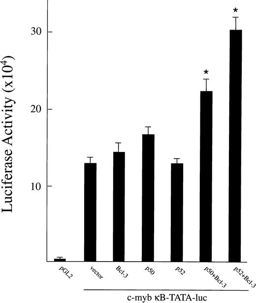 Fig. 9. Overexpression of Bcl-3 and p50 or p52 activates ac-myb κB-TATA-luciferase reporter plasmid. A total of 0.5 μg of plasmids expressing Bcl-3, p50, or p52 was cotransfected with 1.0 μg of c-myb κB-TATA-luciferase reporter plasmid into TF-1 cells separately or in combination. The pGL2 basic vector was used as negative control. The total amount of transfected DNA (2 μg) was kept constant by adding appropriate amounts of expression vector without insert. At 48 hours after transfection, cells were collected for luciferase assay. Results are expressed as the mean ± SEM (×103 cpm). Three experiments were performed. *A significant increase above the c-myb κB-TATA reporter plasmid (P < .05).