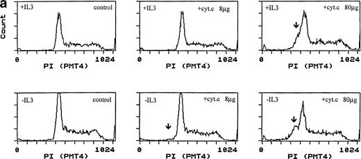 Fig. 1. Induction of apoptosis by cytochrome c in Bo cells. (a) DNA analysis by flow cytometry. Cells were electroporated with bovine cytochrome c (Sigma Ltd) at different concentrations or control protein (FCS) and examined by flow cytomery after 4 hours of incubation. (Top row) With IL-3; (bottom row) without IL-3. Apoptosis is detectable at 8 μg/mL cytochrome c (middle panels) and is significant at 80 μg/mL (left panels, arrow). Apoptotic fractions (gate a, arrow) were as follows: with IL-3: control, <1%; 8 μg/mL, 2%; 80 μg/mL, 11%; without IL-3: control, <1%; 8 μg/mL, 5%; 80 μg/mL, 20%. (b) Apoptosis identified by TUNEL-labeling and flow cytometry. Intact cells were gated by forward- and side-scatter profiles. Fluorescence gates (A, B, C, and D) were then set for all positive events determined by Fluorospheres (Coulter Inc). The percentage of TUNEL-positive cells is in brackets. All cells were incubated with IL-3 and were electroporated with 80 μg/mL cytochrome c or equivalent amounts of FCS (control cells). (A and B) Bo cells examined by flow cytometry after 2 hours. (A) Controls (4%); (B) with cytochrome c (42%); (C and D) B15 cells after 4 hours of incubation. (C) Controls (11%); (D) with cytochrome c (36%). (c) Uptake of cytochrome c by electroporated cells. Bo cells were electroporated as described above with 80 μg/mL cytochrome mixed with 2 μg/mL biotinylated cytochrome c labeled with FITC-streptavidin. Cells were washed and recultured for 1 hour without IL-3 before flow cytometric analysis. (Left) Control cells electroporated with unlabeled cytochrome c; (right) with labeled cytochrome c. Twenty-four percent of cells were labeled. Twenty-seven percent of cells were apoptotic by direct microscopy at 2 hours. In 3 experiments, 31% ± 5.5% were labeled by FITC-cytochrome c and 36% ± 6% were apoptotic after 2 hours. Controls showed 2% ± 1.4% apoptotic cells.