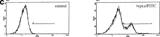 Fig. 1. Induction of apoptosis by cytochrome c in Bo cells. (a) DNA analysis by flow cytometry. Cells were electroporated with bovine cytochrome c (Sigma Ltd) at different concentrations or control protein (FCS) and examined by flow cytomery after 4 hours of incubation. (Top row) With IL-3; (bottom row) without IL-3. Apoptosis is detectable at 8 μg/mL cytochrome c (middle panels) and is significant at 80 μg/mL (left panels, arrow). Apoptotic fractions (gate a, arrow) were as follows: with IL-3: control, <1%; 8 μg/mL, 2%; 80 μg/mL, 11%; without IL-3: control, <1%; 8 μg/mL, 5%; 80 μg/mL, 20%. (b) Apoptosis identified by TUNEL-labeling and flow cytometry. Intact cells were gated by forward- and side-scatter profiles. Fluorescence gates (A, B, C, and D) were then set for all positive events determined by Fluorospheres (Coulter Inc). The percentage of TUNEL-positive cells is in brackets. All cells were incubated with IL-3 and were electroporated with 80 μg/mL cytochrome c or equivalent amounts of FCS (control cells). (A and B) Bo cells examined by flow cytometry after 2 hours. (A) Controls (4%); (B) with cytochrome c (42%); (C and D) B15 cells after 4 hours of incubation. (C) Controls (11%); (D) with cytochrome c (36%). (c) Uptake of cytochrome c by electroporated cells. Bo cells were electroporated as described above with 80 μg/mL cytochrome mixed with 2 μg/mL biotinylated cytochrome c labeled with FITC-streptavidin. Cells were washed and recultured for 1 hour without IL-3 before flow cytometric analysis. (Left) Control cells electroporated with unlabeled cytochrome c; (right) with labeled cytochrome c. Twenty-four percent of cells were labeled. Twenty-seven percent of cells were apoptotic by direct microscopy at 2 hours. In 3 experiments, 31% ± 5.5% were labeled by FITC-cytochrome c and 36% ± 6% were apoptotic after 2 hours. Controls showed 2% ± 1.4% apoptotic cells.