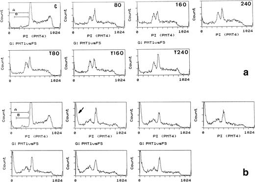 Fig. 2. Apoptosis induction in Bo cells: effects of time and increased cytochrome c concentrations and competition by yeast cytochrome c. (a) (Upper panels) Bo cells were electroporated with control protein (FCS, C) or bovine cytochrome c at 80, 160, or 240 μg/mL external concentration as indicated and recultured with IL-3. (Lower panels) Cells were coelectroporated with 80 μg/mL bovine cytochrome c and 80, 160, or 240 μg/mL yeast (Y) cytochrome c. PI staining and flow cytometric analysis was performed after 2 hours. Note the appearance of pre-G1 staining (gate B) coincident with loss of G2/M staining with cytochrome c and lack of competition by yeast cytochrome c. Pre-G1 fractions, gate B: control, 8%; 80 μg/mL cytochrome c, 38%; 160 and 240 μg/mL cytochrome c, 39%. Gate (A and B): less than 8% in all. (b) Same as for (a) analyzed after 4 hours. Apoptotic fractions increase with time, but not with increasing concentrations of cytochrome c. Note the increase in cells with low amounts of PI staining (gate A, arrow) and progressive loss in G2/M staining throughout all cultures; gate (A and B) increases from 6% in (a) at 80 μg/mL to 17% in (b).