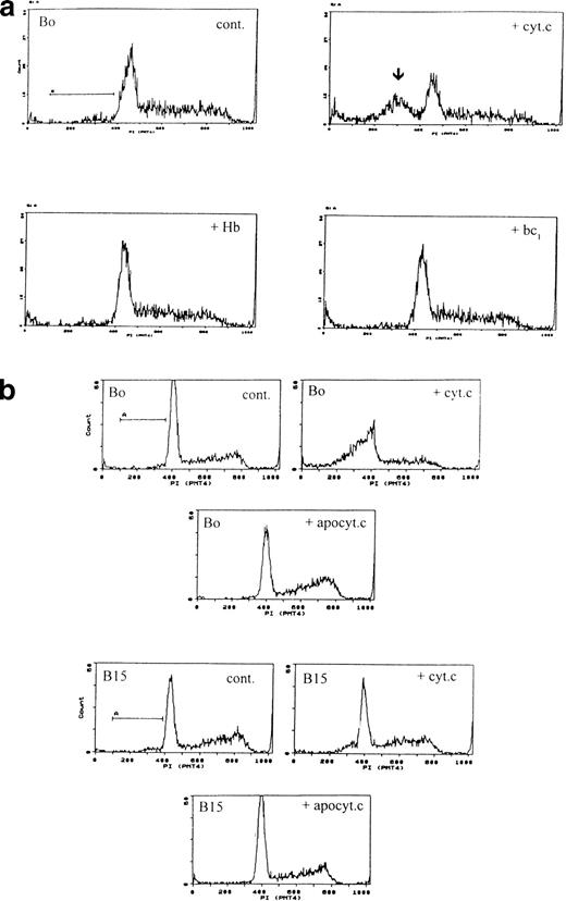 Fig. 4. Specificity of apoptosis for cytochrome c. (a) Other redox proteins do not induce apoptosis. Bo cells were electroporated with cytochrome c (80 μg/mL), human hemoglobin, or cytochrome bc1 complex at molar equivalents to cytochrome c. Only cytochrome c induces apoptosis. Pre-G1 apoptotic fractions: control, 5%; + cyt c, 31%; + Hb, 4.8%; + bc1 4.4%. (b) Only holo-but not apo-cytochrome c induces apoptosis. Bo (upper 3 panels) and B15 cells (lower 3 panels) were electroporated with 80 μg/mL of holo- or apo-cytochrome as in Fig 1 and recultured with IL-3 and samples were analyzed by flow cytometry after 3 hours. Pre-G1 apoptotic fractions were as follows: Bo: control <1%; with holocytochrome c 37%; with apocytochrome c <1%. B15: control 5%; with holocytochrome c 11%; with apocytochrome c 2%. Similar results were recorded for A2 and A15 cells (not shown).