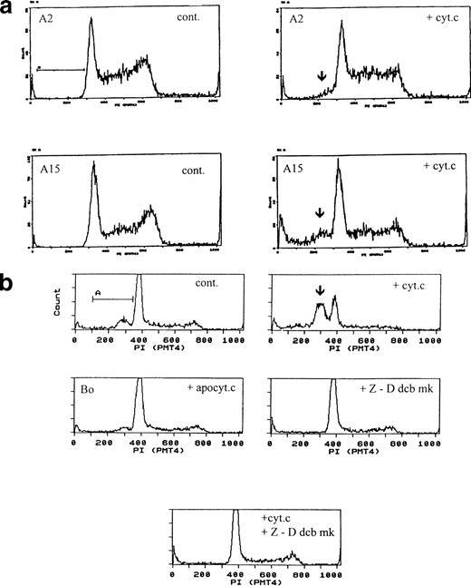 Fig. 5. Cytochrome c-induced apoptosis is dominant to bcl-2 and activated MAP-KK survival signals and is mediated by caspases. (a) Cytochrome c overrides IL-3, bcl-2, and activated MAP-KK. A2 cells (upper panels) expressing activated MAP-KK and A15 cells (lower panels) coexpressing activated MAP-KK and bcl-2 were electroporated with control protein (left) or bovine cytochrome c at 80 μg/mL (right) and recultured with IL-3. Pre-G1 apoptotic fractions were as follows: A2: control <1%; with cytochrome c 6%; A15: control <1%; with cytochrome c 16%. Apoptotic fractions by direct microscopy are given in Table 2. (b) Cytochrome c-induced apoptosis is dependent on caspases. Bo cells were electroporated with 80 μg/mL apo- or holo-cytochrome c as for Fig 1 and recultured with IL-3, with or without z-Ddcbmk at 50 μg/mL (100 μmol/L). Cells were analyzed after 3 hours. Pre-G1apoptotic fractions were as follows: control cells, 16%; with holo-cytochrome c, 45%; with apo-cytochrome c, 9%; with z-Ddcbmk only, 7%; with holo-cytochrome c and z-Ddcbmk, 4%. z-Ddcmbk abolishes cytochrome c-induced DNA fragmentation. Similar results were obtained with B15, A2, and A15 cells and z-VADfmk (data not shown).