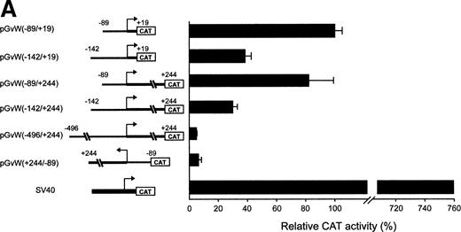 Fig. 1. Expression of CAT reporter gene constructs containing deletions of the 5′-flanking region of the vWF gene and 19 nt or 244 nt of the first exon. (A) Depicted on the left side of the figures are the vWF promoter-CAT deletion constructs containing 19 nt or 244 nt of the first exon (pGvW vectors) and pSVGCAT-A (containing the SV40 early promoter). Thirty micrograms of the CAT plasmids was transfected into HUVECs in the presence of 0.5 μg of pCMVβ plasmid and 30 μg of carrier plasmid pBS−. Forty-eight hours later, extracts were prepared and the level of CAT activity was measured, normalized for β-galactosidase activity, and expressed relative to the CAT activity of plasmid pGvW(−89/+19). Plasmid pGvW(+244/−89) was transfected into HUVECs as a reference for background CAT activity. The results are the mean ± SD of 4 to 6 experiments. (B) HUVECs and HeLa cells were transfected with the pGvW vectors indicated on the left side as described in the Materials and Methods. The level of CAT activity was measured, normalized for β-galactosidase activity, and expressed relative to the CAT activity of plasmid pGvW(−89/+19). (▪) HUVECs; () HeLa cells.