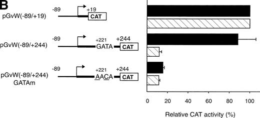 Fig. 1. Expression of CAT reporter gene constructs containing deletions of the 5′-flanking region of the vWF gene and 19 nt or 244 nt of the first exon. (A) Depicted on the left side of the figures are the vWF promoter-CAT deletion constructs containing 19 nt or 244 nt of the first exon (pGvW vectors) and pSVGCAT-A (containing the SV40 early promoter). Thirty micrograms of the CAT plasmids was transfected into HUVECs in the presence of 0.5 μg of pCMVβ plasmid and 30 μg of carrier plasmid pBS−. Forty-eight hours later, extracts were prepared and the level of CAT activity was measured, normalized for β-galactosidase activity, and expressed relative to the CAT activity of plasmid pGvW(−89/+19). Plasmid pGvW(+244/−89) was transfected into HUVECs as a reference for background CAT activity. The results are the mean ± SD of 4 to 6 experiments. (B) HUVECs and HeLa cells were transfected with the pGvW vectors indicated on the left side as described in the Materials and Methods. The level of CAT activity was measured, normalized for β-galactosidase activity, and expressed relative to the CAT activity of plasmid pGvW(−89/+19). (▪) HUVECs; () HeLa cells.