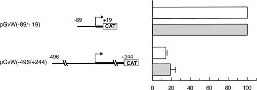 Fig. 2. Expression of CAT reporter gene constructs in bovine endothelial cells. BAECs and CPAE cells were transfected with 10 μg of the CAT reporter vectors pGvW(−89/+19) or pGvW(−496/+244) and 0.5 μg of pCMVβ plasmid. The level of CAT expression, normalized for β-galactosidase activity and expressed relative to the CAT activity of plasmid pGvW(−89/+19), is shown. (□) BAECs; (▧) CPAE. The results are the mean ± SD of 3 experiments.