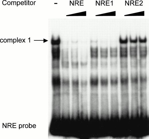Fig. 6. The high-affinity nuclear protein binding site in the vWF gene promoter NRE is located inside the sequence NRE1 (−142 to −114). The double-stranded oligonucleotide NRE (−142 to −89) was labeled, incubated with nuclear extracts from HUVECs, and analyzed as described in the Materials and Methods. Unlabeled double-standed competitors NRE, NRE1 (−142 to −114) and NRE2 (−113 to −85) were included at 50-, 100-, and 200-fold molar excess. The major complex 1 is indicated by an arrow.