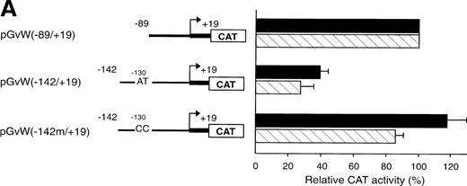 Fig. 7. Functional analysis of mutations in the AT-rich sequence. HUVECs and HeLa cells were transfected as described in the legend to Fig 1. (A) The vectors pGvW(−89/+19), pGvW(−142/+19), and pGvW(−142m/+19) are depicted on the left side of the figures. The construct pGvW(−142m/+19) is mutated at nt −130 and −129 inside the AT-rich sequence. The CAT activities associated with these vectors are expressed relative to the activity of pGvW(−89/+19), which is set at 100%, and are given on the right. (▪) HUVECs; () HeLa cells. (B) The vectors pGvW(−89/+244), pGvW(−142/+244), and pGvW(−142m/+244) are shown on the left side of the panel. The CAT activities in HUVECs are expressed relative to the activity of the plasmid pGvW(−89/+19). The results are the mean ± SD of 4 to 6 experiments.