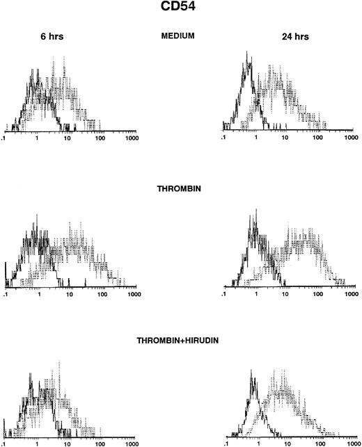 Fig. 1. Thrombin induces CD54 expression on HUVECs (FACS analysis). HUVECs were cultured for 6 hours (left side) and 24 hours (right side) in culture medium (upper panels), in the presence of 8 U/mL of thrombin (intermediate panels), or in the presence of thrombin with hirudin (lower panels). After cell trypsinization, CD54 expression was studied by FACS analysis (1 representative experiment among 5).