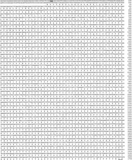 Fig. 2. The nucleotide and predicted amino acid sequence of ABP-276 and ABP-278. The upstream in-frame stop codon (TAG) is underlined. The 24 amino acid Hinge I insertion in ABP-278 is double-underlined. These data are available from GenBank under the accession number AF043045.