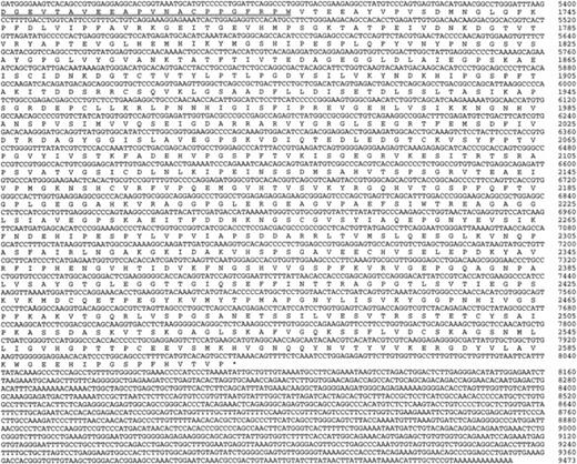 Fig. 2. The nucleotide and predicted amino acid sequence of ABP-276 and ABP-278. The upstream in-frame stop codon (TAG) is underlined. The 24 amino acid Hinge I insertion in ABP-278 is double-underlined. These data are available from GenBank under the accession number AF043045.