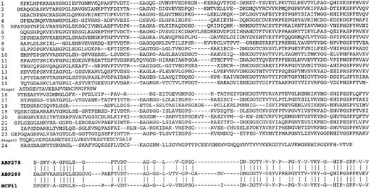 Fig. 4. Alignment of the 24 internal repeats in the ABP-276 and ABP-278 backbone. Alignment of amino acid residues 249-2602 of ABP-278 are shown. The 24 amino acid Hinge I sequence of ABP-278 was inserted between repeats 15 and 16; a 34 amino acid Hinge II sequence of both ABP-276 and ABP-278 was inserted between repeats 23 and 24. A consensus sequence for the repeating unit in ABP-278, derived from residues common to at least 10 of the repeats is listed at the bottom, together with a similar consensus sequence from ABP-28017 and chicken filamin (MCFil).47