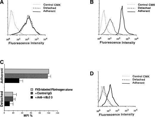 Fig. 2. Binding of anti-IIbβ3 MoAb and soluble fibrinogen to TPA-induced CMK cells. D3-adherent, D3-detached, and control CMK cells were incubated with (A) anti-IIbβ3 complex MoAb or (B) 200 μg/mL FXS-labeled fibrinogen for 30 minutes at room temperature, and flow cytometry was performed. D3-adherent cells were harvested by detaching them mechanically after the binding reaction. (C) D3-adherent and D3-detached cells were pretreated with 40 μg/mL of anti-IIbβ3 MoAb or control mouse IgG for 5 minutes at room temperature and then treated with 50 μg/mL FXS-labeled fibrinogen, after which flow cytometry was performed. The MFI of FXS-labeled fibrinogen bound to D3-adherent cells was taken as 100%, and results represent the mean ± SD of 3 independent experiments. (D) D3-adherent, D3-detached, and control CMK cells were incubated with the activation-dependent anti-IIbβ3 MoAb, PAC1 as described above, and flow cytometry was performed. Results of (A), (B), and (D) are representative of 3 experiments.