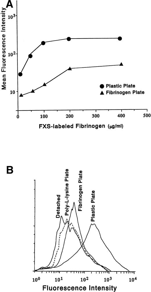 Fig. 4. Binding of soluble fibrinogen to the cells on fibrinogen plate. (A) FXS-labeled fibrinogen was added to D3-adherent cells and the cells on the fibrinogen plate at the indicated concentrations and the binding was characterized by flow cytometry. The MFIs from the histograms for each concentration of FXS-labeled fibrinogen were plotted graphically. (B) FXS-labeled fibrinogen (200 μg/mL) was added either to the D3-detached cells (Detached), the cells on poly-L-lysine plate (broken line), the cells on fibrinogen plate, or D3-adherent cells (Plastic Plate) for 30 minutes at room temperature. Adherent cells were detached mechanically after the binding reaction and subjected to flow cytometry. In (C) and (D), D3-detached cells were incubated on the fibrinogen plate for the indicated times (0, 15, 30, and 45 minutes). The cell lysates were immunoprecipitated with (C) anti-FAK polyclonal antibody or (D) anti-Syk MoAb, and immunoblotting analysis was performed with antiphosphotyrosine MoAb (4G10). The blots were stripped and reprobed with indicated antibodies. +Soluble Fg. indicates the stimulation with 1 mg/mL soluble fibrinogen for 5 minutes. PL shows the result of plating on poly-L-lysine plate for 30 minutes. Ad+Soluble Fg. and De+Soluble Fg. are the results of 1 mg/mL soluble fibrinogen stimulation on D3-adherent cells and D3-detached cells, respectively. Results are representative of 3 experiments.