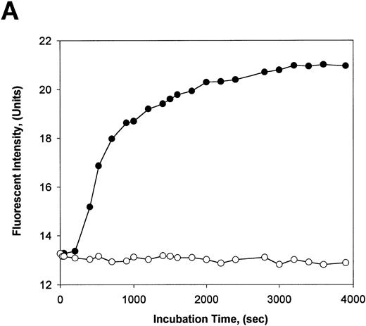 Fig. 4. Cleavage of F.IX by HNE or F.XIa in the presence of pAB. F.IX (4.0 μmol/L) was incubated at 37°C in the presence of pAB (4.0 μmol/L) and after approximately 100 seconds, F.XIa (500 nmol/L) or HNE (400 nmol/L) was added and the incubations continued. (A) shows the fluorescence intensity values recorded for F.IX treated with F.XIa (•) or HNE (○) with excitation and emission wavelengths of 336 and 376 nm, respectively, and a cutoff filter of 350 nm in the emission beam using a Perkin Elmer LS50B Luminescence Spectrometer. (B) (F.XIa-treated F.IX) and (C) (HNE-treated F.IX) show reducing SDS-PAGE analysis of aliquots (4 μg protein each) removed from the reactions in (A) after 0, 0.5, 2, 5, 10, 20, 40, and 60 minutes of incubation with protease (lanes 1 through 8, respectively, in each case) using 5% to 20% linear polyacrylamide gradient gels after staining with Coomassie Blue. The positions of molecular weight markers (in kilodaltons) are indicated at the left of each panel.
