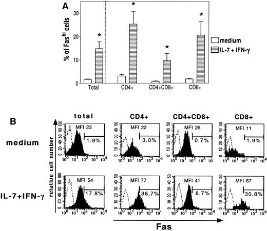 Fig. 4. Effect of IFN-γ + IL-7 on Fas expression in thymic subsets. Thymocytes were first labeled with anti-Fas, then with biotin-coupled antimouse antibody, and lastly with Quantum Red-conjugated streptavidine and anti-CD4 and anti-CD8 antibodies; only the last two steps were performed for staining controls. (A) Data are the means ± SEM of 5 experiments. IFN-γ + IL-7 increased the Fashi thymocyte proportion in all the thymic subsets (CD4+, CD4+CD8+, and CD8+ cells). *P < .05 versus control. (□) Medium; (⊟) IL-7 + IFN-γ. (B) Representative analysis of the proportion of Fashi thymocytes and MFI of Fas staining in each culture condition and thymic subset. Fas staining is shown as solid profiles and staining controls as open profiles.