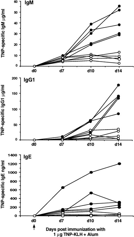 Fig. 3. Immune responses of 129Ola × C57BL/6J F3 CD38−/− mice (open symbols) and CD38+/+littermate controls (closed symbols) to a limiting dose of the TD antigen TNP5-KLH in alum. In two of the eight TNP5-KLH in alum immunization experiments described in Fig2, the hapten-specific responses to different doses of antigen were compared (1 μg compared with 10 μg). The data shown are representative of these experiments, and illustrate the titers of hapten-specific IgM, IgG1, and IgE serum antibody at various time points after a primary immunization with 1 μg alum-precipitated TNP5-KLH (10 μg, data not shown). Arrow indicates the time of primary immunization.