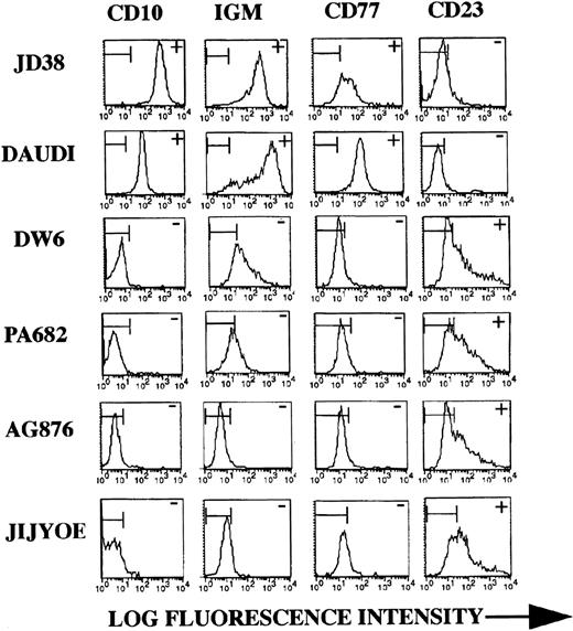 Fig. 2. BL phenotype and TIMP-1 expression. Representative flow cytometric analysis of cell lines with differential TIMP-1 secretion as shown in Fig 1. JD38 and Daudi are negative for TIMP-1 whereas DW6, PA682, AG876, and Jijyoe express variable levels. TIMP-1–negative BL lines express high-level CD10, surface IgM, and CD77 (similar results obtained with all three TIMP-1–negative lines studied). TIMP-1+ BL lines show downregulation of the follicular center markers CD10, surface IgM, and CD77 along with upregulation of activation marker CD23 seen with all four TIMP-1–positive BL lines studied. The X-axis shows log fluorescence intensity. The Y-axis shows the number of cells. Horizontal bars in histograms indicate nonantibody binding as determined by irrelevant isotype control antibodies. Data are representative of five independent experiments.