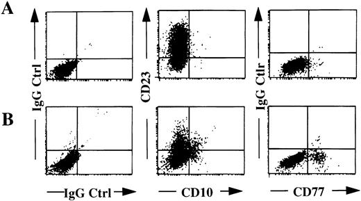 Fig. 6. Flow cytometric analysis of TIMP-1–JD38 cells treated with TIMP-1 neutralizing antibody. TIMP-1–JD38 clone 24 cells were treated with an isotype control (A) or anti–TIMP-1 antibody (B) as explained in the Materials and Methods. Two-color flow cytometry shows anti–TIMP-1 treatment decreases percentage of CD23 positive cells from 89.7% (A) to 27.4% (B), and increases both the percentage of cells expressing CD10 from 0.55% (A) to 17.8% (B), and CD77 from 1.2% (A) to 13.6% (B), respectively. Isotype control plots (IgG Ctrl) are also shown. Data are representative results of three independent determinations.