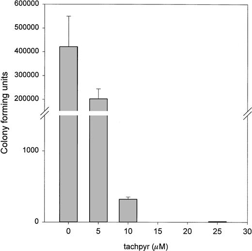 Fig. 3. Tachpyr inhibits colony-forming ability of treated cells. MBT2 cells were incubated for 72 hours with tachpyr and viability was assessed by using a clonegenic assay.