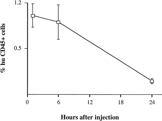 Fig. 1. Detection of human cells in mouse blood soon after injection. BV173 cells were injected in the tail vein at a dose expected to give 50% of human cells in mouse blood. Mice were bled 1, 6, and 24 hours after injection. Quantification of human cells was assessed by staining with human CD45 MoAbs. Bars refer to standard deviations (SD). The same findings were observed using peripheral blood CD34+ cells from CML patients and healthy subjects.