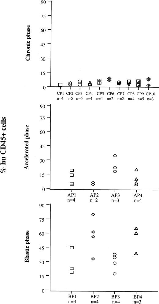 Fig. 4. BM engraftment of cells from different disease phases at 7 to 8 weeks. Cells from 10 patients in CP (CP 1 to 10), four in AP (AP 1 to 4), and four in BP (BP 1 to 4) were injected into groups of two to six preirradiated mice. Seven to 8 weeks after injection, mice were killed and the numbers of human CD45+ cells were assessed in BM cell suspensions.