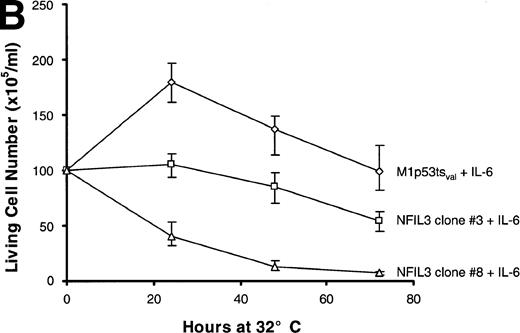 Fig. 6. NFIL3 interferes with IL-6 rescue of M1p53tsval cells. (A) Viable cell counts (means of triplicate determinations) performed at serial times after a shift in temperature to 32°C for 5 NFIL3 clones and uninfected control. (B) Viable cell counts of NFIL3 clone 3 and 8 and control performed in the presence of 12 ng/mL IL-6. (C) Flow cytometric TUNEL assay of TdT-labeled DNA in NFIL3 clone 8 and control grown in the presence of IL-6 at 37°C and 24 hours after a temperature shift to 32°C.