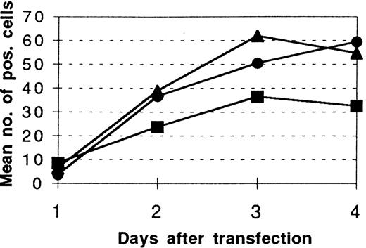 Fig. 1. β-gal positivity after cotransfection of pCMVβ and wild-type or mutated preprocathepsin G forms to COS-7 cells. COS-7 cells (50 × 103) were transiently cotransfected with 0.2 to 0.3 μg of pCMVβ and (•) pcDNA3/CatG, (▴) pcDNA3/CatG/Gly201/▵Gly19Glu20, or (▪) pcDNA3/CatG/▵Gly19Glu20 in equal or double amounts in six 12-well plates using the DEAE-dextrane method. Cells were stained using the β-gal kit and the absolute numbers of β-gal–positive cells were determined in a light microscope. The diagram shows the mean values of β-gal–positive cells 1 to 4 days after transfection. Values are from 4 separate experiments (with 8 wells counted on day 3).