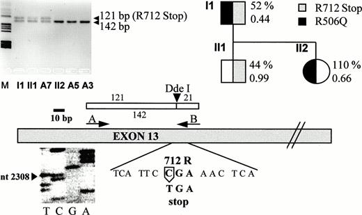 Fig. 1. Family pedigree with plasmatic values (percentage of FV:c levels and APC ratio) and mutation detection by direct sequencing (bottom) or Dde I restriction (top). A3, A5, and A7 are asymptomatic subjects.