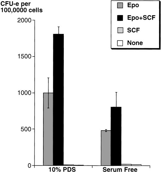 Fig. 3. SCF potentiates the ability of Epo to support wild-type fetal liver CFU-e colony formation. Fetal liver cells were cultured in methylcellulose containing Epo (2 U/mL) and/or rSCF (100 ng/mL). The methylcellulose medium was either serum free, or contained 10% PDS. Results are the mean ± SD of triplicate samples.