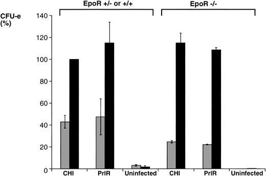 Fig. 4. SCF potentiates the CFU-e response to prolactin in EpoR−/− and wild-type progenitors infected with either PrlR or CHI. EpoR−/− fetal liver cells or wild-type or heterozygous littermate fetal liver cells were infected with retrovirus encoding CHI or PrlR, and cultured in either the presence (▪) or absence (▧) of SCF (100 ng/mL), in methylcellulose containing 500 ng/mL ovine-prolactin and 10% PDS. Results in each experiment were expressed as percent of colonies obtained for wild-type fetal liver cells infected with CHI and cultured in the presence of prolactin and SCF. Each determination is the mean ± SD of three independent experiments. The mean colony number per fetal liver was 540 ± 220 for PrlR-infected cells and 660 ± 198 for CHI-infected cells.