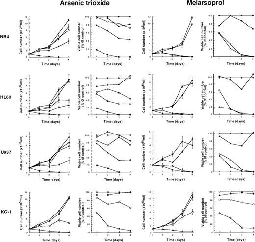 Fig. 1. Growth inhibition of NB4, HL60, U937, and KG-1 cell lines after As2O3 or melarsoprol treatment. Various concentrations of As2O3 and melarsoprol were added to the media (Materials and Methods): Controls (○), 10−5 mol/L (▵), 10−6 mol/L (□), and 10−7 mol/L (•). As2O3 at a concentration of 10−4 mol/L (⊞) was also used. Representative results from one of three independent experiments are shown as the mean ± SD of triplicates. Inhibition of cell growth and loss of viability are comparable in four different cell lines in which PML-RAR fusion protein is or is not present.