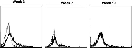 Fig. 5. Sequential IF analysis of peripheral blood lymphocytes in a dog transplanted with histocompatible, allogeneic noncytokine-primed bone marrow transduced with HGMDR. TUGh4 antibody (solid tracings); rat isotype control (dotted tracings).