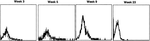 Fig. 7. Sequential IF analysis of peripheral lymphocytes from a dog transplanted with autologous, cytokine-primed bone marrow transduced with HGMDR. TUGh4 antibody (solid tracings); rat isotype control (dotted tracings).