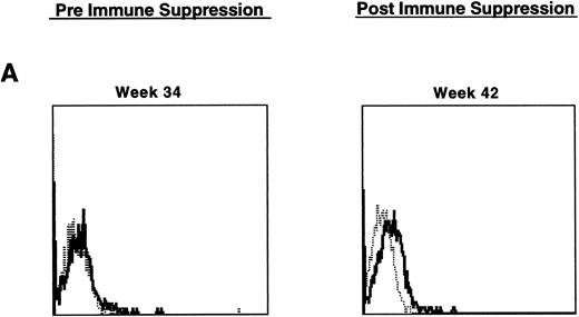 Fig. 10. Examples of IF analysis of peripheral blood lymphocytes from three recipients of transduced bone marrow transplant (BMT) before (left) and following (right) treatment with cyclosporin A and prednisone. Weeks after BMT are shown. (A) Recipient of cytokine mobilized autologous BMT. (B and C) Recipients of cytokine-mobilized, matched, allogeneic BMT.